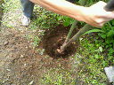 200806241019000.jpg