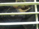 200902281631000.jpg