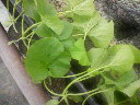 200704181032000.jpg