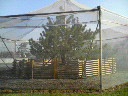200711180908000.jpg