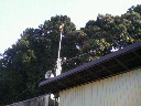 200801261442000.jpg