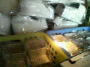 200802291714000.jpg