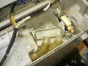 200803031052000.jpg