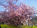 200803111525000.jpg