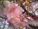 200803111528000.jpg