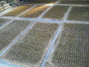 200804020742000.jpg