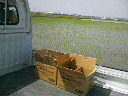 200805211333000.jpg