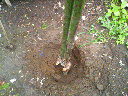 200806211017000.jpg