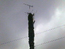200806241057000.jpg