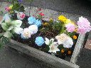 200911161515000.jpg