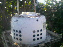 201001091402000.jpg