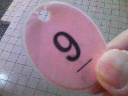 201001130725000.jpg