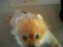 201002041614000.jpg