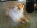 201002041614001.jpg