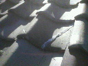 201002071419000.jpg