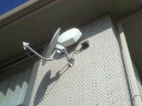 201002080945000.jpg