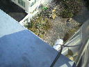 2010022214060000.jpg