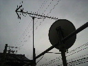 2010030416550000.jpg