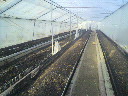 2010030507100000.jpg