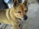 2010031215140001.jpg