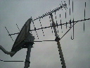 2010032311240001.jpg