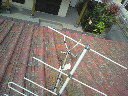 2010032810430000.jpg