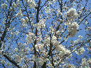 2010033014100000.jpg
