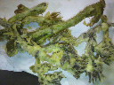 2010033022170000.jpg