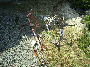 2010040613270000.jpg