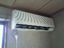 2010041014510000.jpg