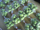 2010041416390001.jpg