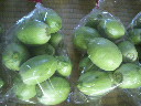 2010041416390000.jpg