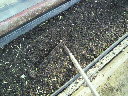 2010041907060000.jpg