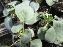 2010042110030000.jpg