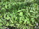 2010042110020000.jpg
