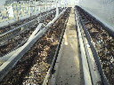 2010050206570000.jpg