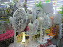 2010050718580000.jpg