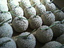 2010052608380001.jpg