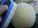 2010052608440000.jpg