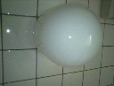 2010091810310000.jpg