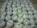 2011090520460000.jpg