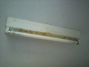 2011091016010000.jpg