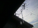2011092415050000.jpg