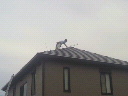 2011092515020000.jpg