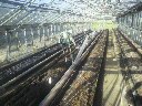 2011092807390000.jpg