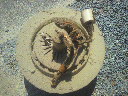 2011092811430000.jpg