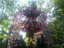 2011100914490000.jpg