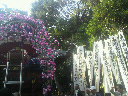 2011100914550000.jpg