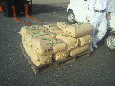 2011101107350000.jpg
