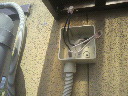 2011101210510000.jpg